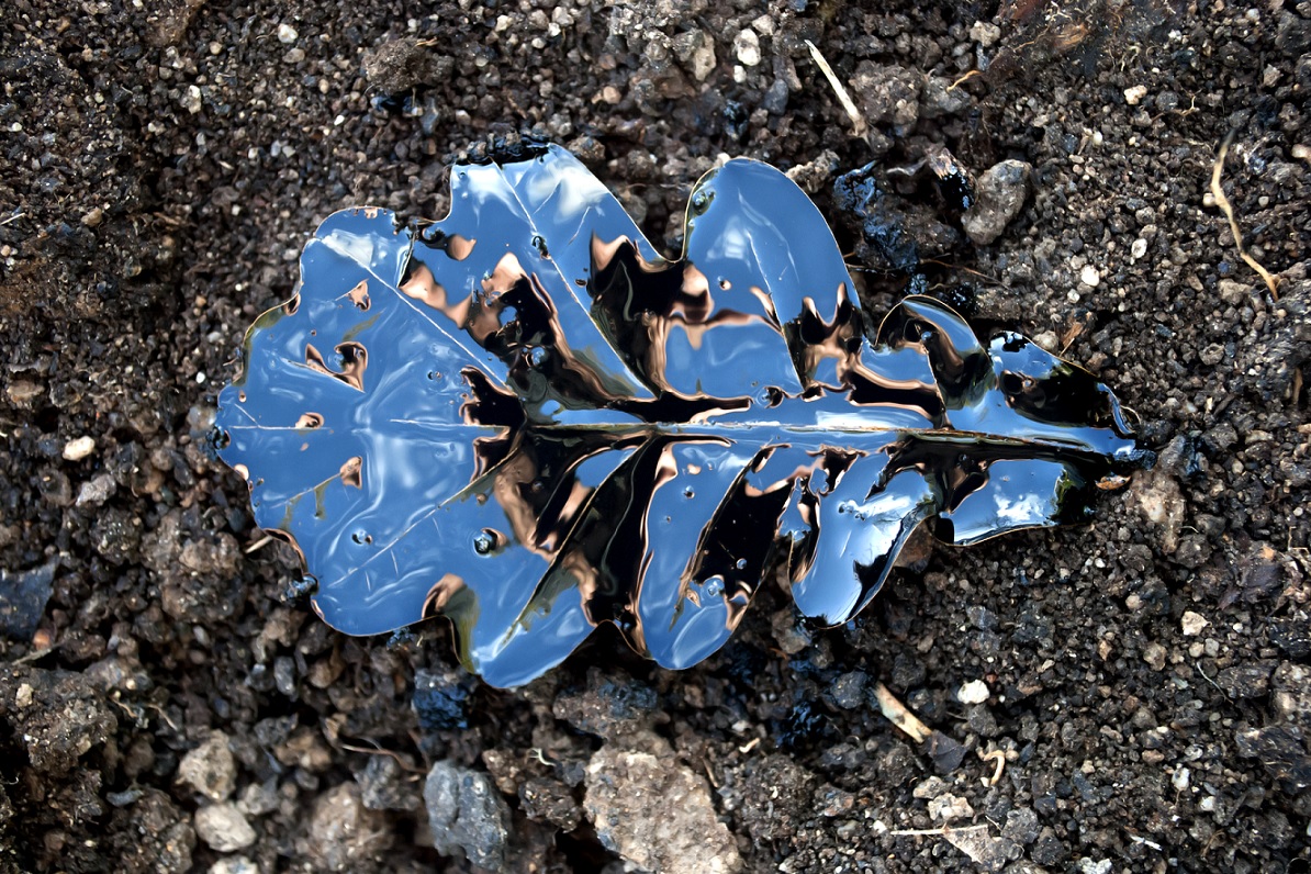 “Dentro l’attimo” mostra di Dominique Robin